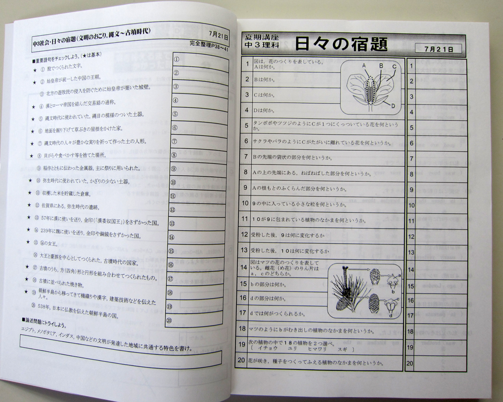 POINT 3 日々の宿題のイメージ